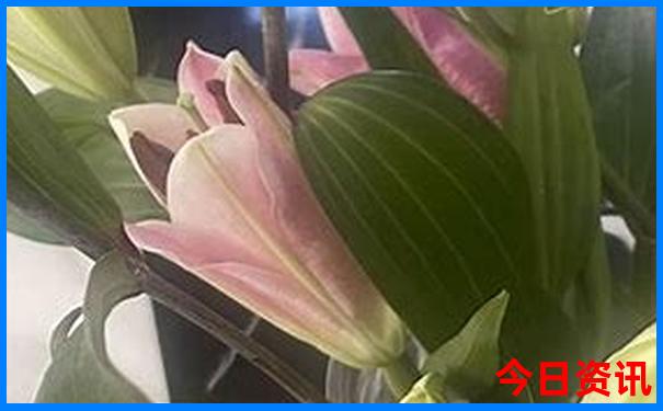 暑假有什么好玩的景点